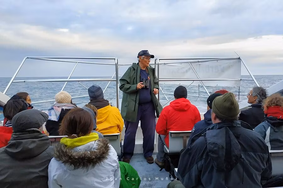 excursion para ver cetaceos en la costa vasca