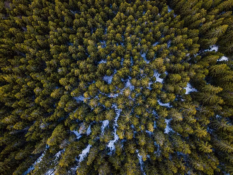 Vista aérea de la carretera Transfăgărășan.