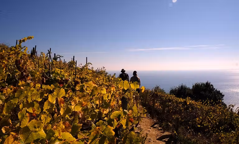 senderos de cinque terre