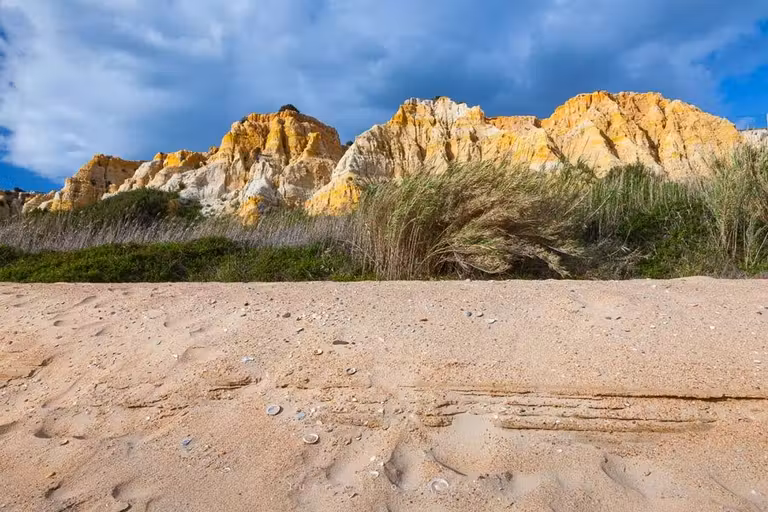 Acantilados de dunas fósiles del Asperillo.