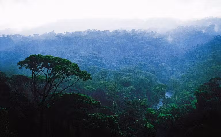 trogon lodge naturaleza costa rica