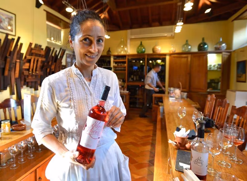 casa del vino tenerife