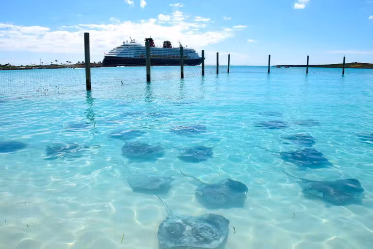 Playa de Castaway Cay con crucero Disney