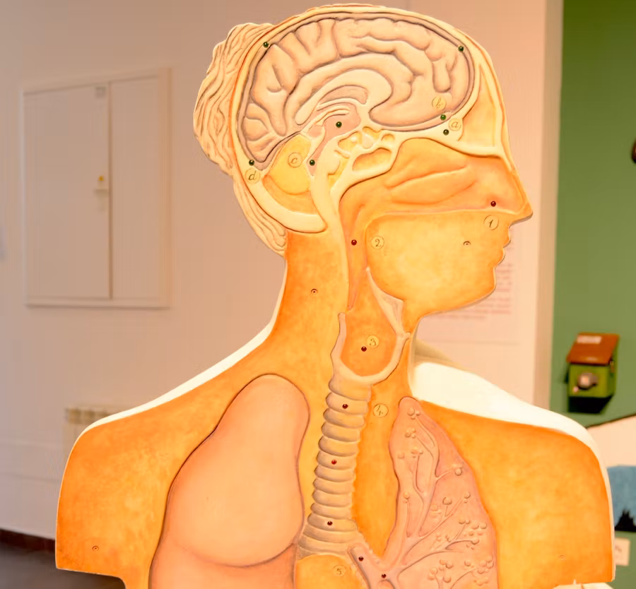 El sentido del olfato en el Museo de los Aromas.