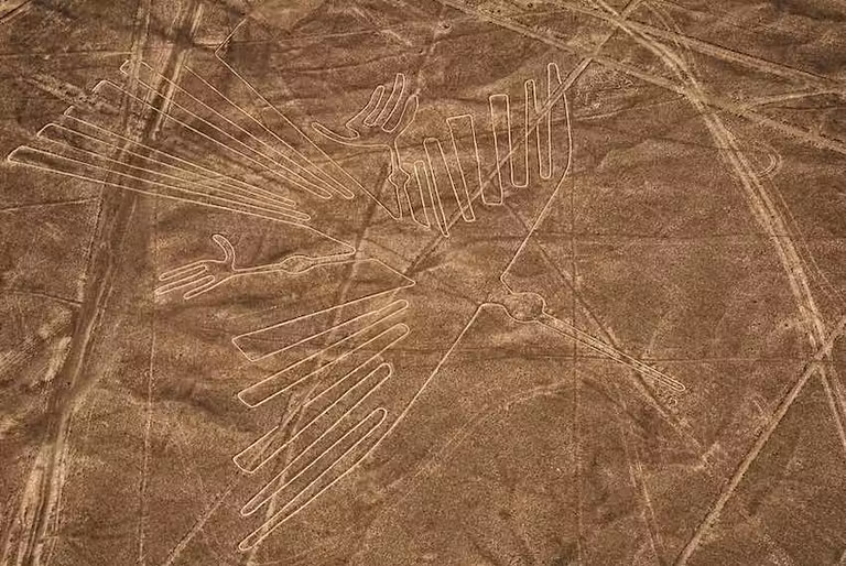 Figura del cóndor, en las Líneas de Nasca.