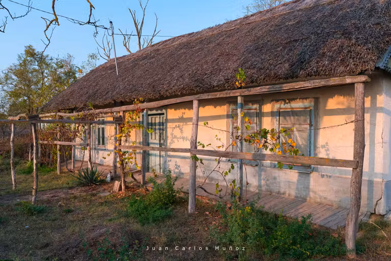 Las granjas que encuentres en tu viaje te darán la oportunidad de conocer a los vecinos del lugar.