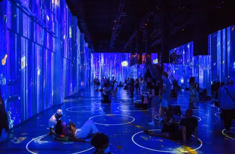 exposicion van gogh nueva york