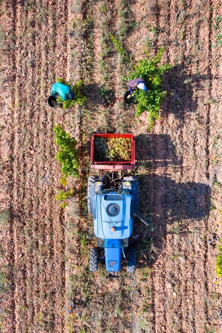 vista aerea vendimia la rioja