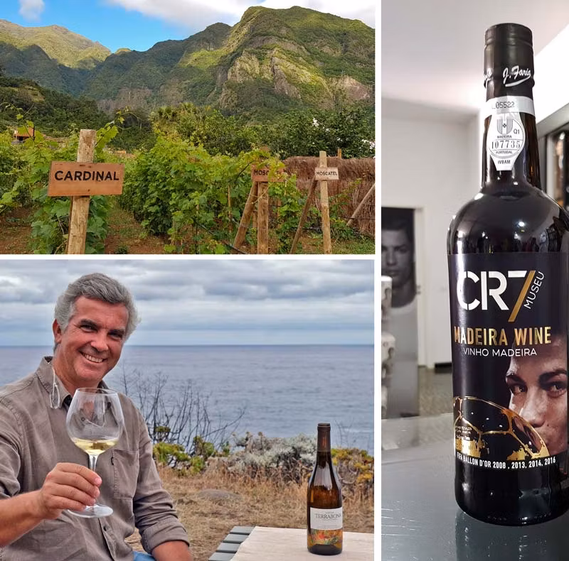 Variedades de uva, vino CR7 y Marco Noronha, propietario de Bodega Terra Bona.