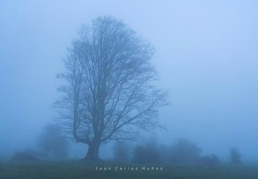excursiones en la sierra de entzia