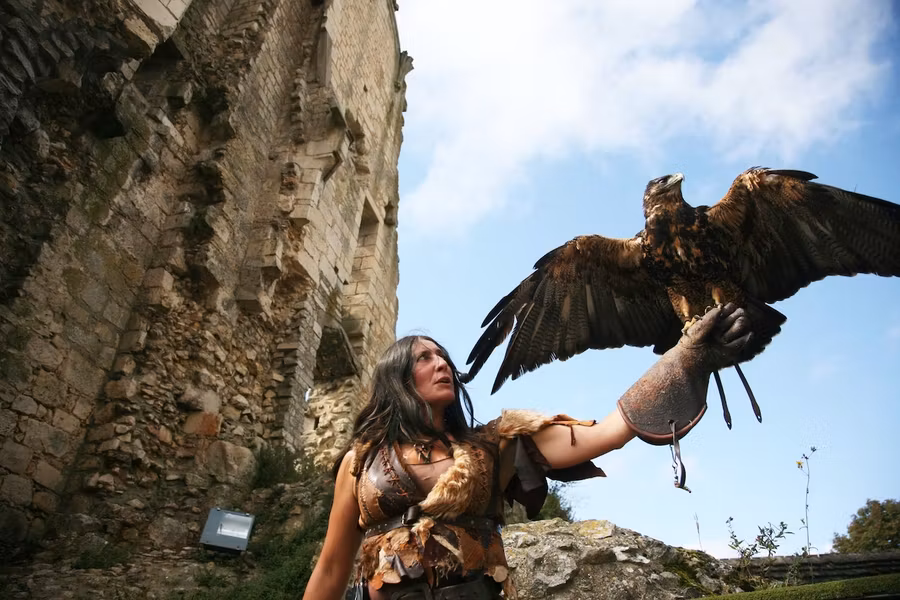 Espectáculo de cetrería Gigantes del cielo