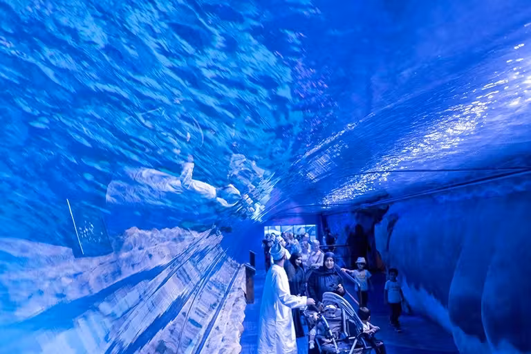 acuario dubai