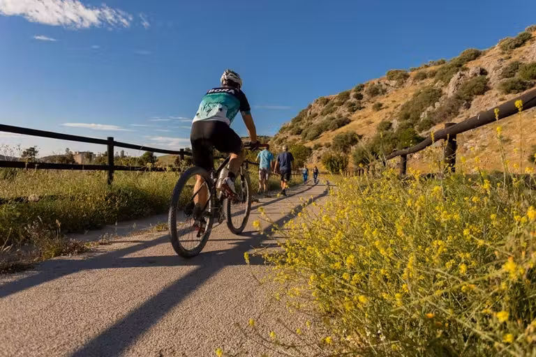 ciclista en la vida verde de cabra durante una ruta en autocaravana por la Subbética Cordobesa