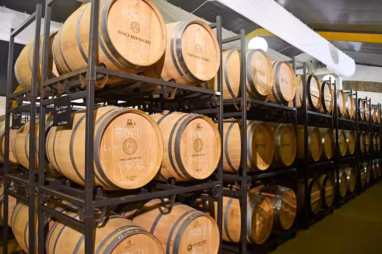 Barricas de la Finca Río Negro.