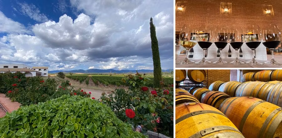 bodega dehesa carrizal comarca entreparques