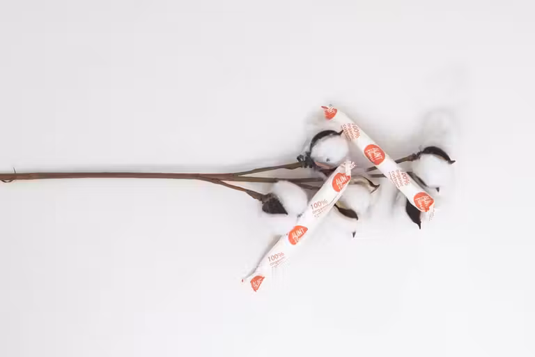 Tampones sobre rama de algodón.