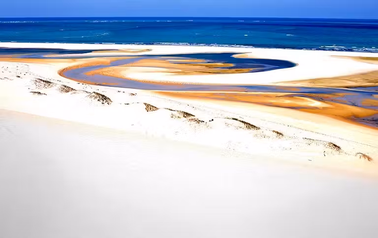 Formas caprichosas de la naturaleza en Bazaruto.