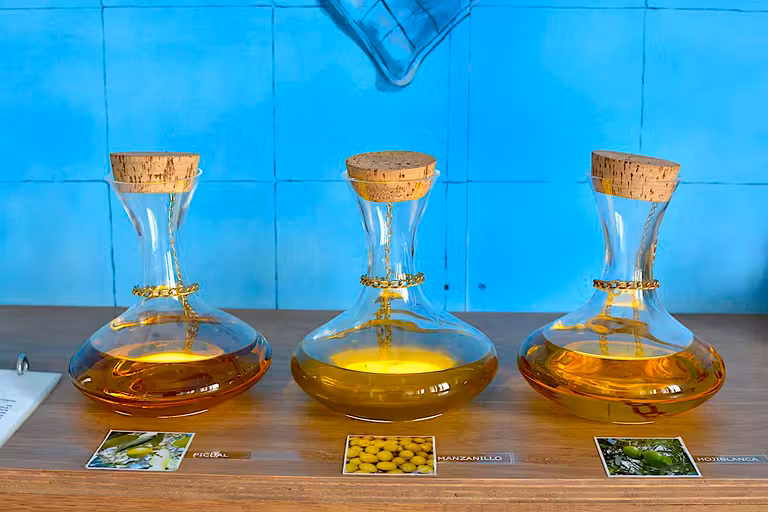 Aceite en el Museo de los Aromas.