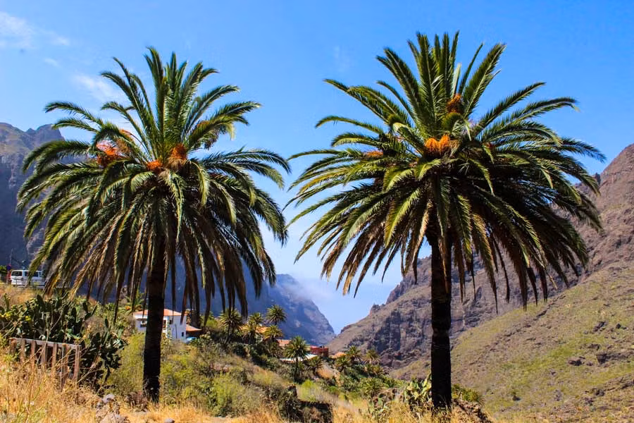 excursiones con amigas en Masca