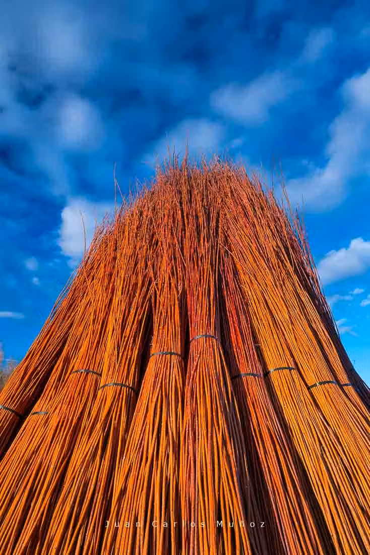 El color del mimbre va cambiando con el paso del tiempo.