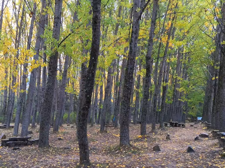 merendero rio cuervo