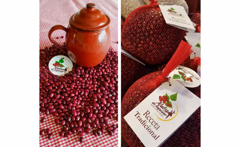 ruta gastronomica la rioja, platos tipicos en la rioja