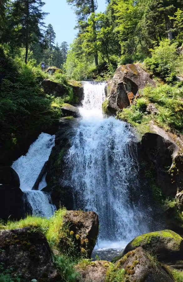 Selva Negra, naturaleza, viajes con niños, viajes en familia, viajes a Europa