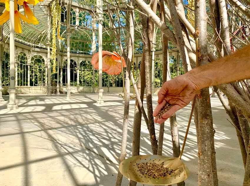 Comederos para pájaros en la exposición.