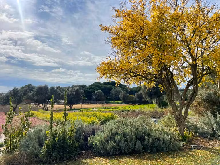 Quinta do Mel en Albufeira.