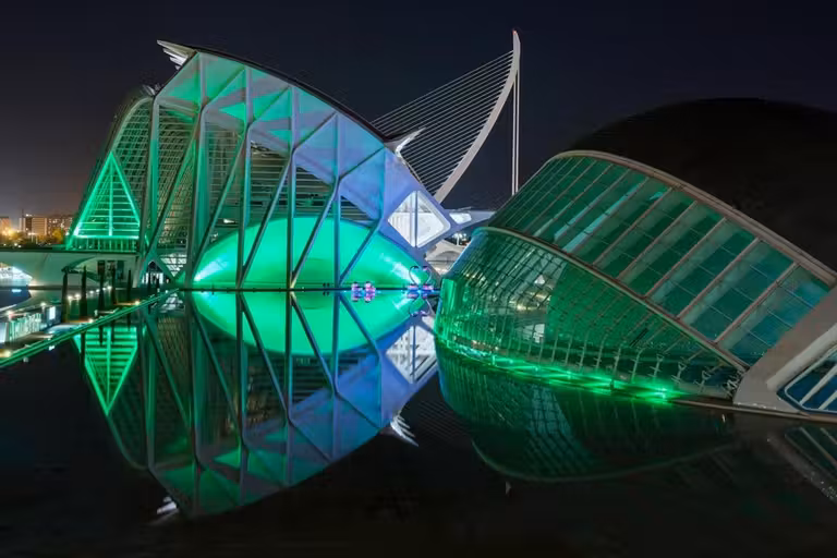 ciudad de las artes y las ciencias en san patricio