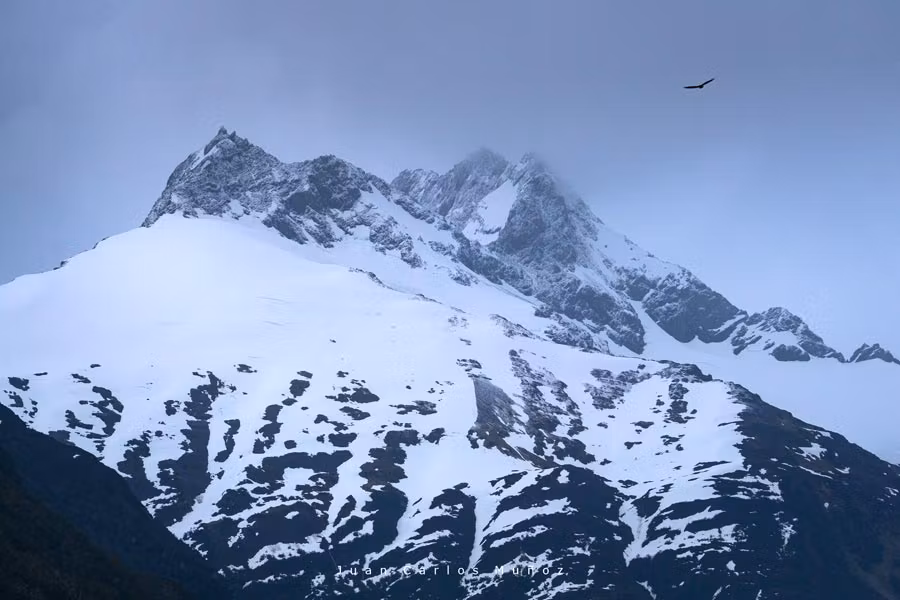 viaje patagonia chilena, viaje mujeres, avenida de los glaciares, cruceros argentina, crucero chile