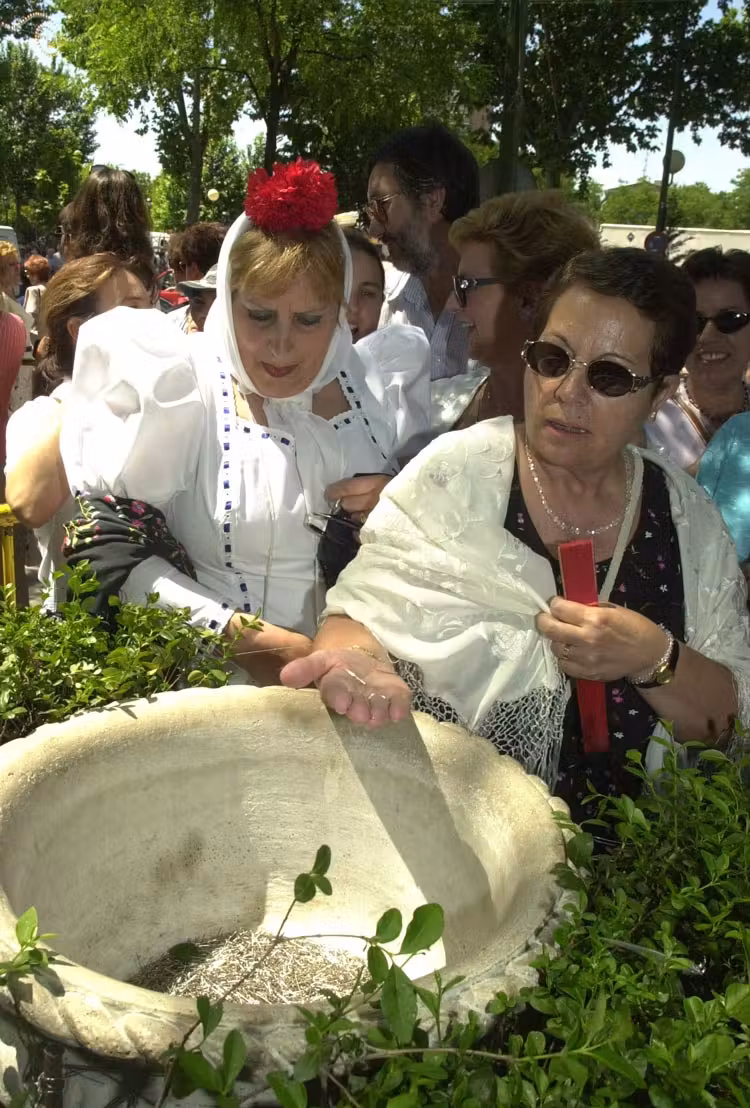 ritual alfileres verbena de san antonio