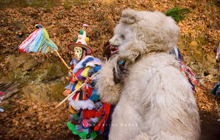 El oso es un personaje imprescindible en el carnaval de La Vijanera de Cantabria.