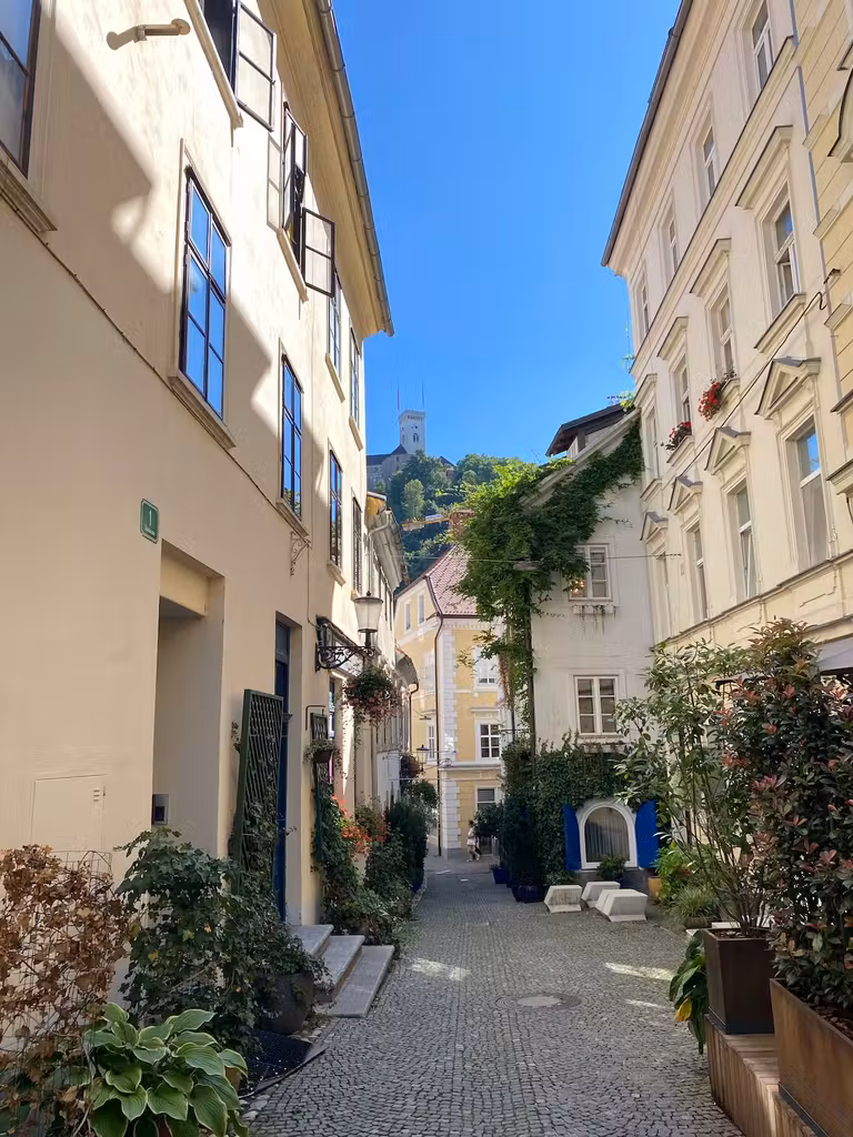 Calle de Liubliana