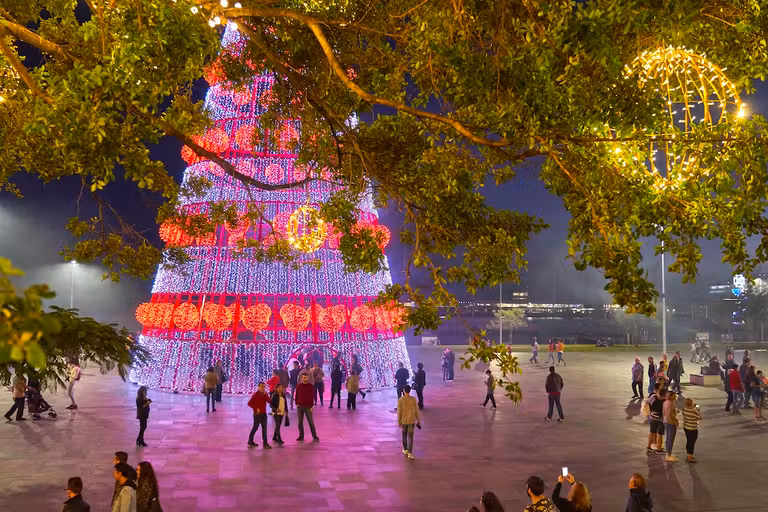 Vacaciones navideñas en Funchal entre sabores y fuegos artificiales