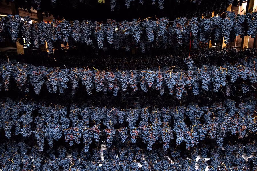 vino supurao, ruta gastronomica la rioja, platos tipicos en la rioja