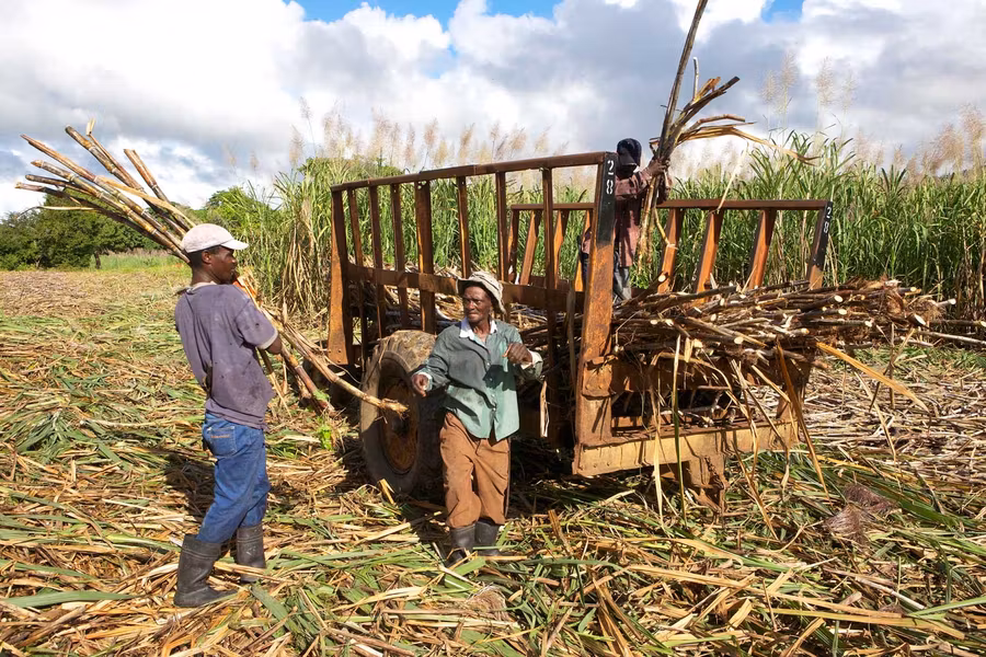 Conocer e interactuar con la población local es básico para conocer un destino