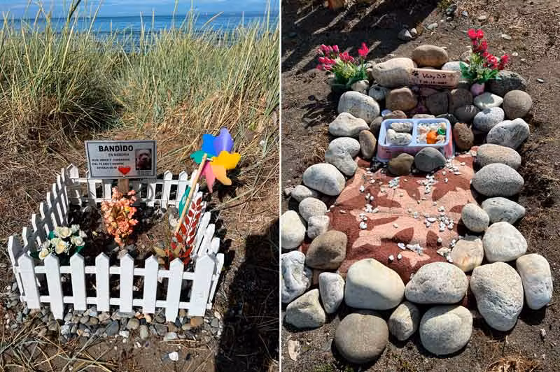 tumbas de mascotas en Punta Arenas