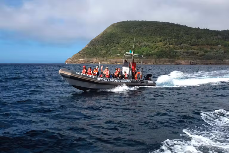 Lancha rápida en Terceira
