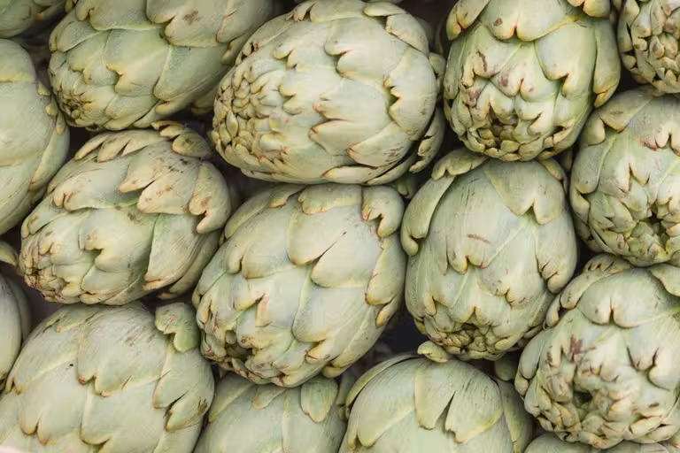 Bardenas Reales, viajes a Navarra, escapadas por España