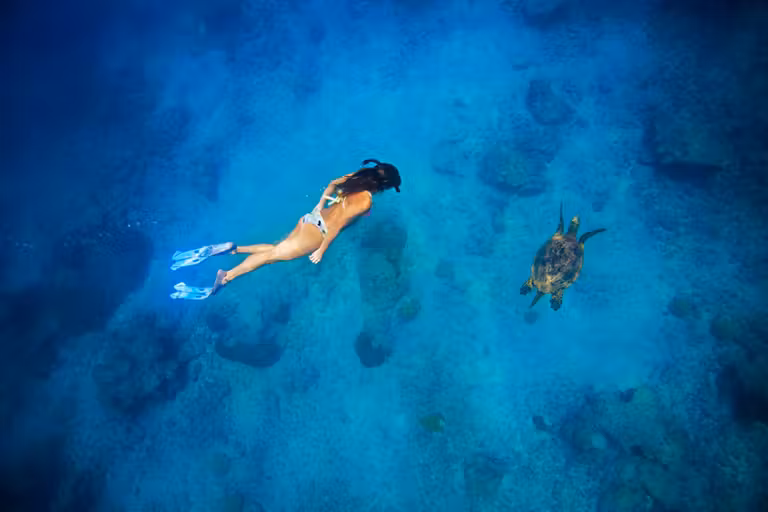 Snorkeling en Costa Rica.