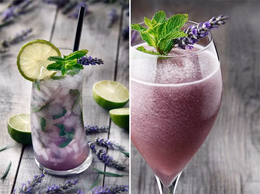 Menu festival lavanda night, hotel los anades, lavanda guadalajara