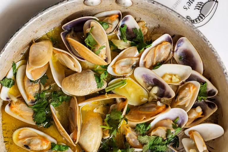 Coquinas en el Algarve.