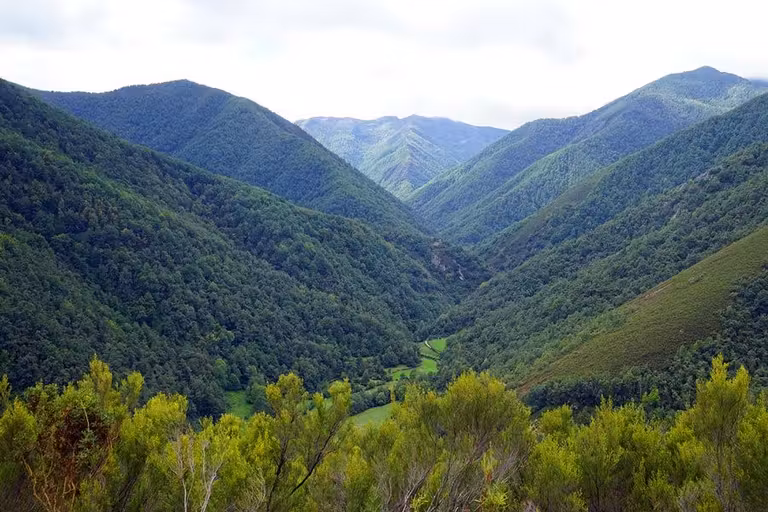 asturias en coche parque muniellos