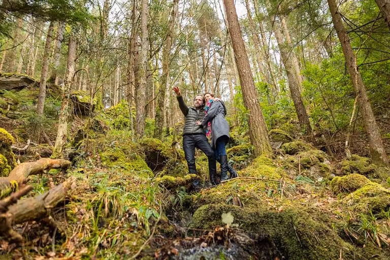 Sligo, el condado irlandés que enamoró a William Butler Yeats