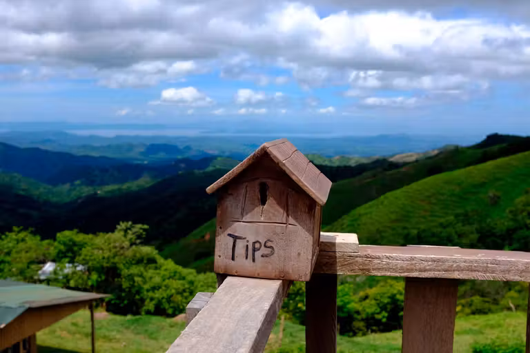 Niño cogiendo café en Costa Rica