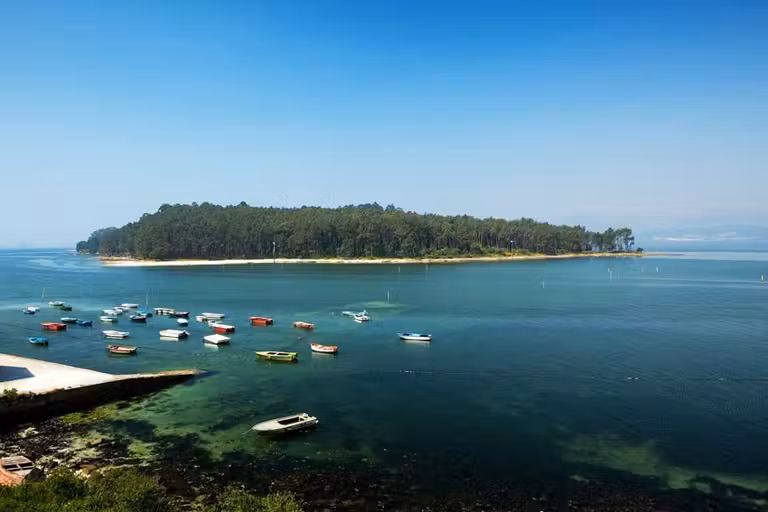 Isla de Cortegada.