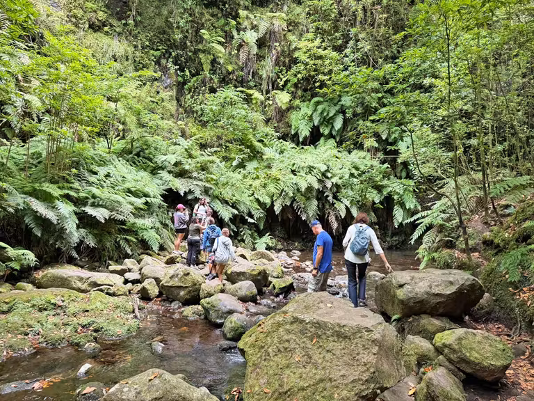 Ribeira do Bonito en Madeira