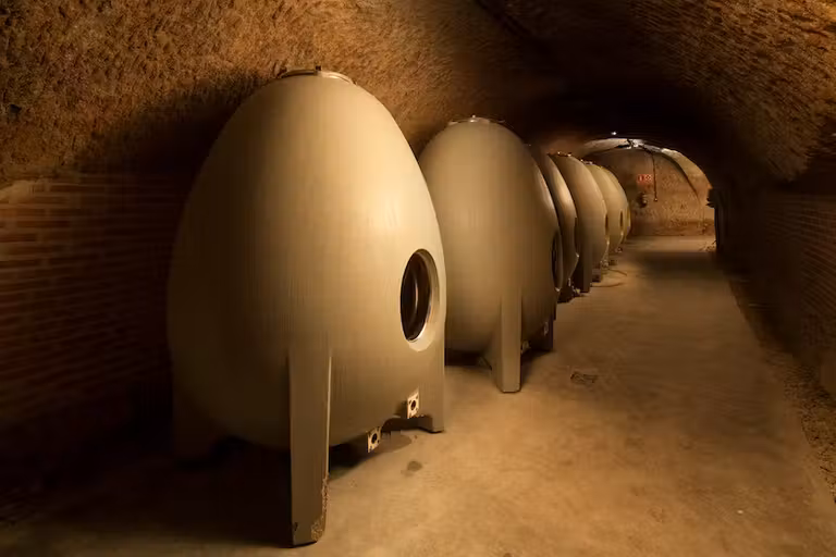 Bodega Campo Elíseo, en la Ruta del Vino de Rueda