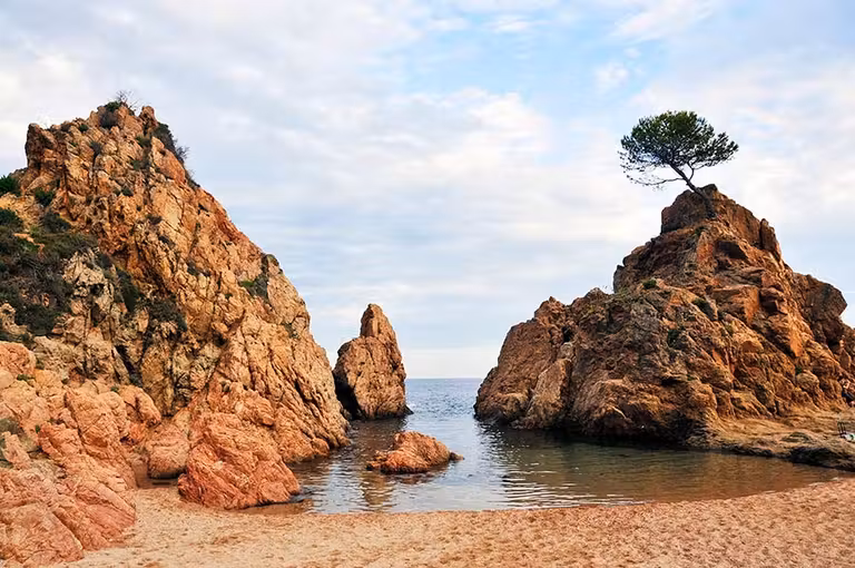 mar menuda, tossa mar, costa brava